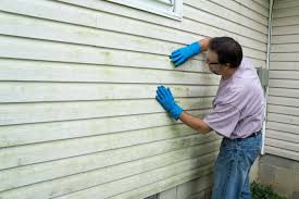 Best Insulated Siding Installation  in Homeland, GA